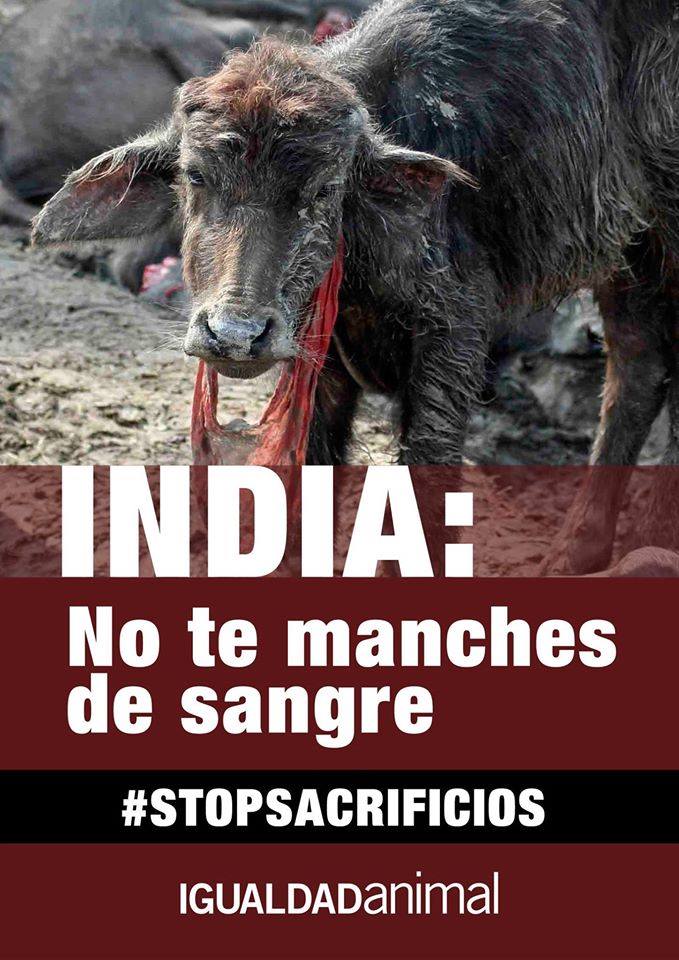 485525_10203297760548705_8088157481967272823_n