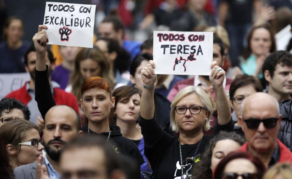 dc24f1773f7c8d8f7123f717e2bed4fb