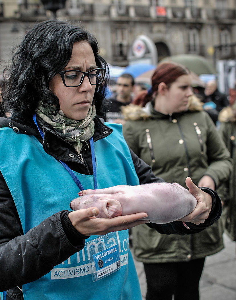 16018833252_047f8b43c2_k_opt