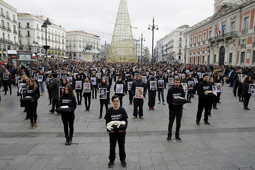 CUATROCIENTAS PERSONAS REIVINDICAN EN MADRID LOS DERECHOS DE LOS ANIMALES