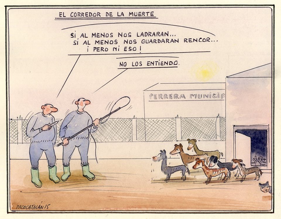 Ilustración de Paco Catalán dedicada al artículo