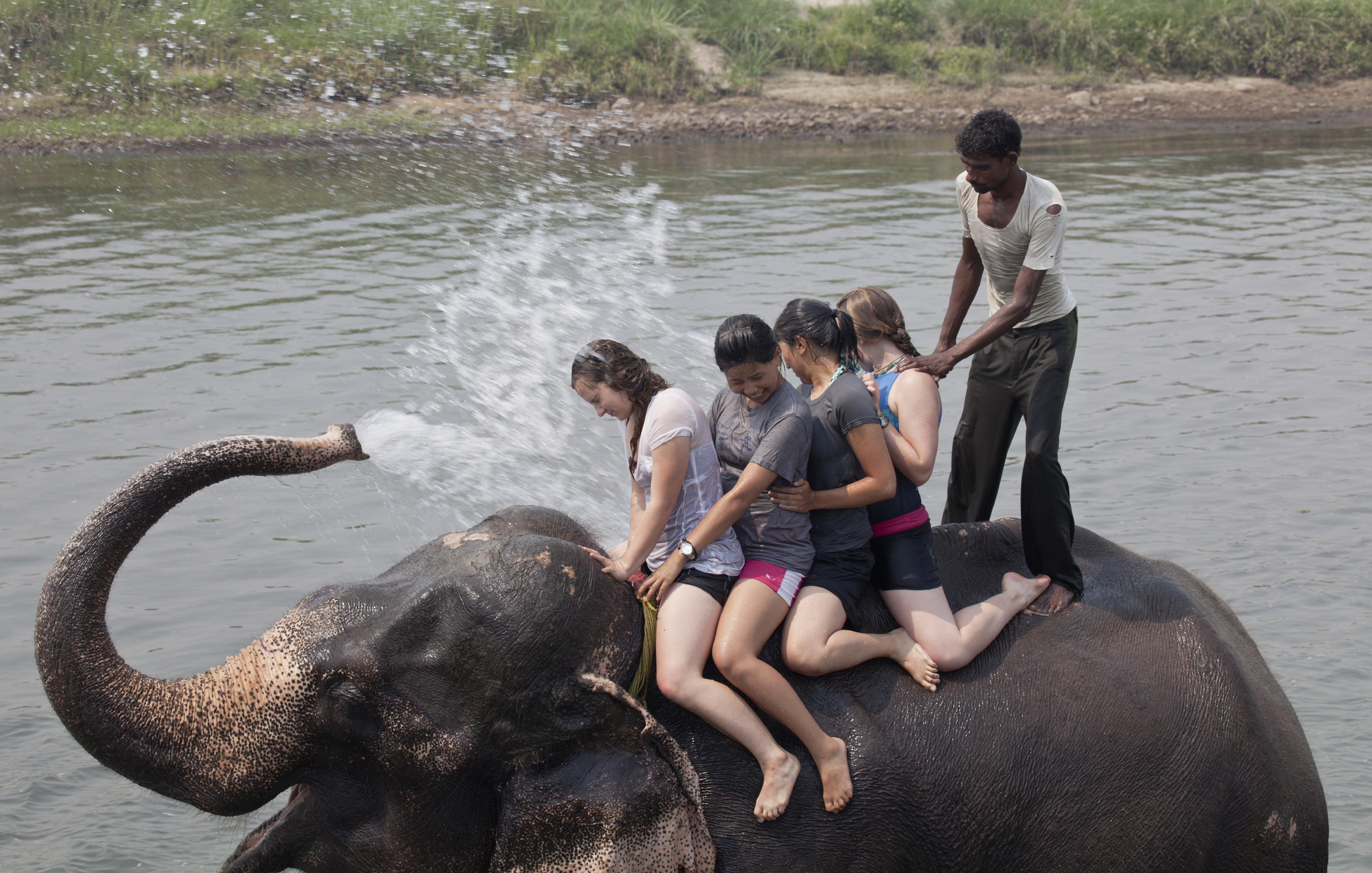 iStock_000017867933Large