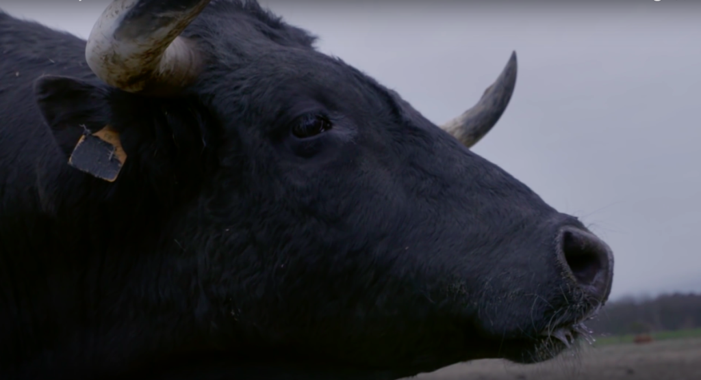 capture_decran_2016-04-29_a_10.24.54