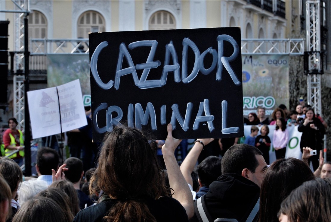 manifestacion lobo Frasco